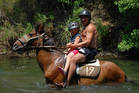 Marmaris: Guided Horseback Riding Tour with Hotel Pickup Horseback Riding Experience with Hotel Transfers