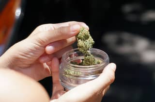 Amsterdam: Private Cannabis-Kultur-Tour mit Coffeeshops