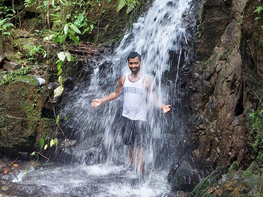 Phuket Guided Rainforest Hike with Lunch 