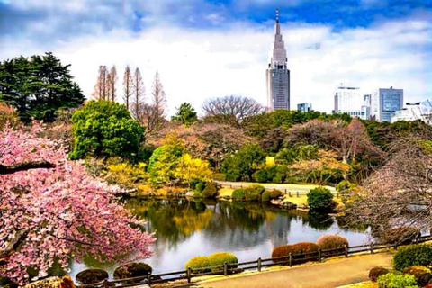 Tokyo en dag privat tur med engelsktalande förare