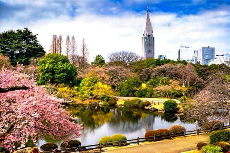 Tokyo en dag privat tur med engelsktalande förare