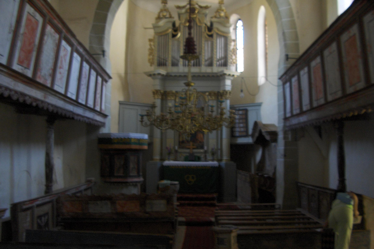 Brasov: Saxon Fortified Churches Day Tour with Guide