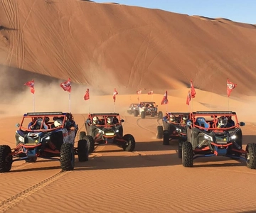 Doha Qatar Buggy ride, camel ride, dune bashing, sandboard.