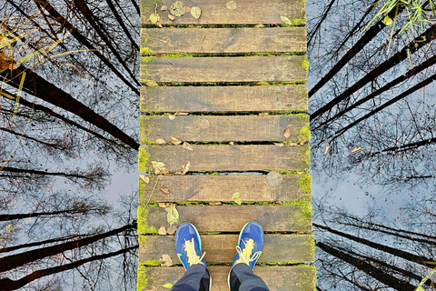 Great Ķemeri Bog & Swamp Forest Hiking Adventure Shared group tour