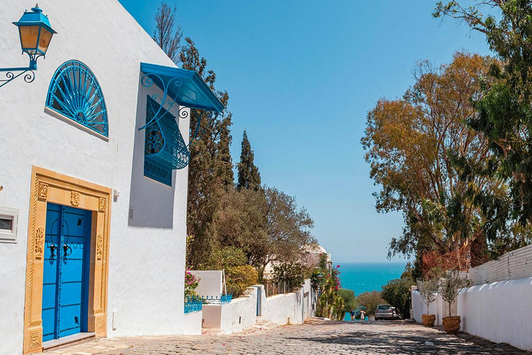 Carthage & Sidi Bou Said Tour from Mahdia From Mahdia: Carthage & Sidi Bou Said Guided Tour