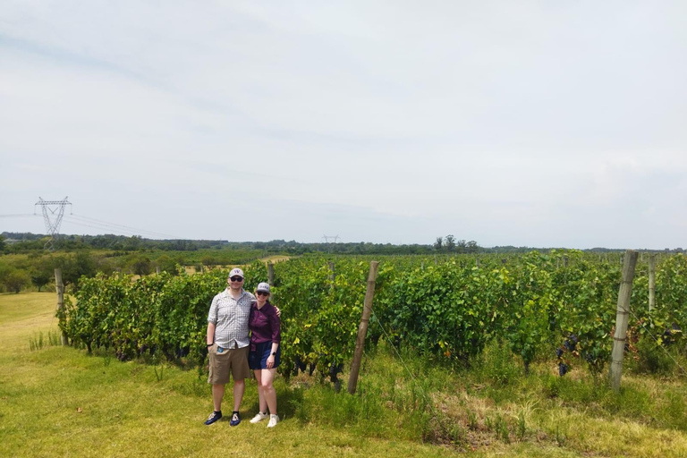 Visit to a traditional and award-winning winery in Montevideo
