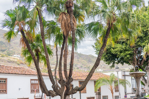 Balades Découverte Teide - La Orotava - Icod de los Vinos