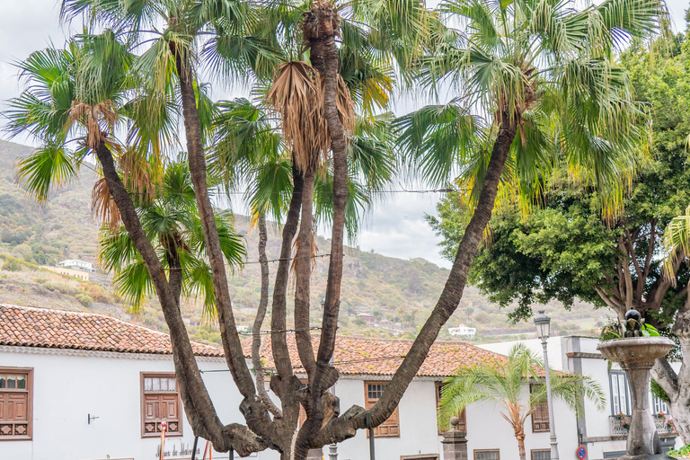 Balades Découverte Teide - La Orotava - Icod de los Vinos