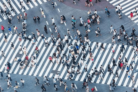 Tokyo Full Day Customizable Private Tour with English Guide