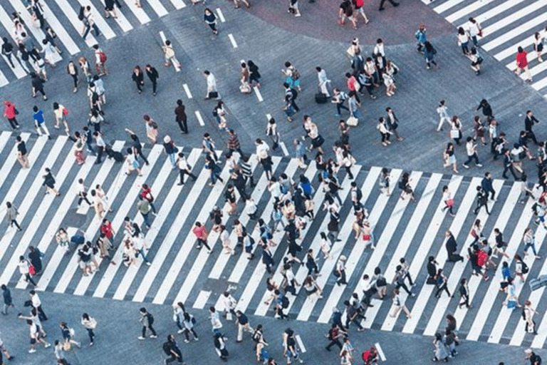 Tokyo Full Day Customizable Private Tour with English Guide