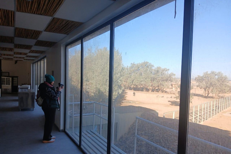 Amman: Desert Castles Shaumari Wildlife Private Day Trip