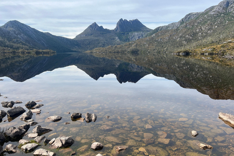 6 Day Taste of Tasmania Tour Private room shared bathroom 1 person