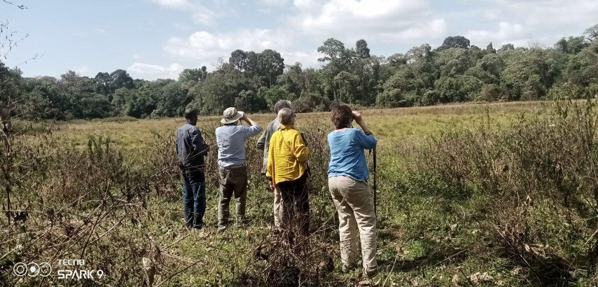Ethyo Ethio tour | GetYourGuide