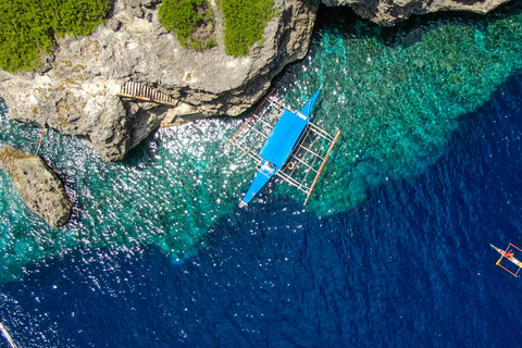 Cebu: Mantayupan Falls and Moalboal Sardines & Turtle Tour