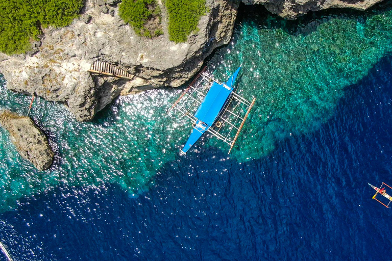 Cebu: Mantayupan Falls and Moalboal Sardines & Turtle Tour