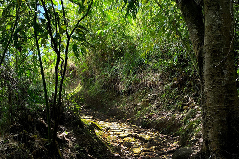 Medellín: Birdwatching on Cerro Tusa Ancient Pyramid Trails