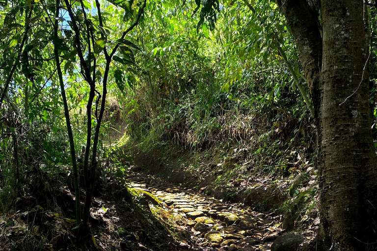 Medellín: Birdwatching on Cerro Tusa Ancient Pyramid Trails