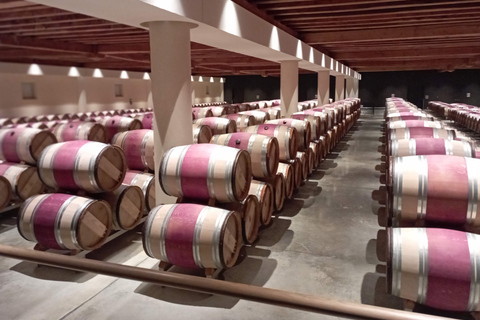 Wine Tour : the beauty and flavors of Bordeaux vineyards.