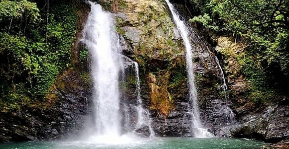 Cairns: 2-Day Fun Falls & Forest + Dain-Tree Hugger Tour