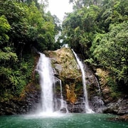 Cairns: 2-Day Fun Falls & Forest + Dain-Tree Hugger Tour