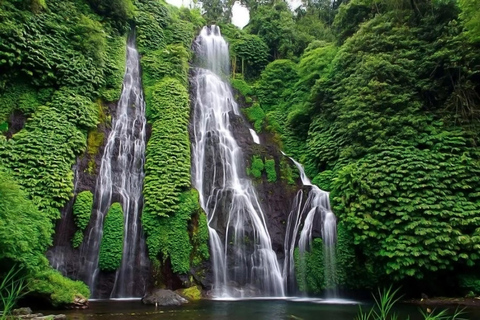 Bali: Tour particular de um dia na Ilha do Norte com a Cachoeira BanyumalaTour sem taxas de entrada