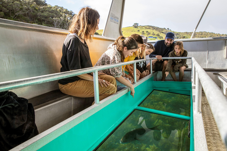 Isla de las Cabras: Tour en barco con fondo de cristal