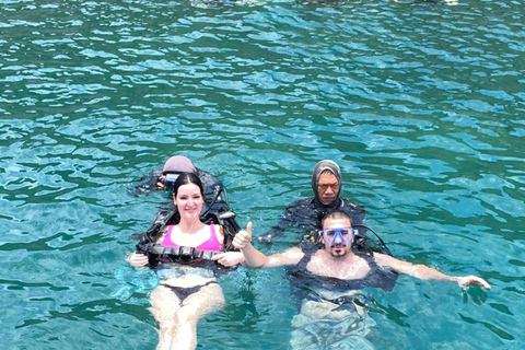 Da Nang/Hoi An: Cham Islands Snorkeling Trip with Lunch Da Nang/Hoi An: Cham Islands Snorkeling Trip with Lunch
