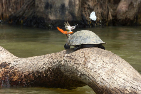 Puerto Maldonado: 4 days kayak tour