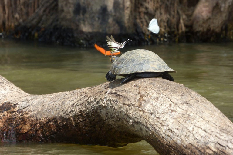 Puerto Maldonado: 4 days kayak tour