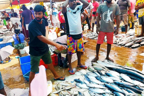 Negombo Stadsvandring : Fiskmarknad och båtresa i Dutch Canal