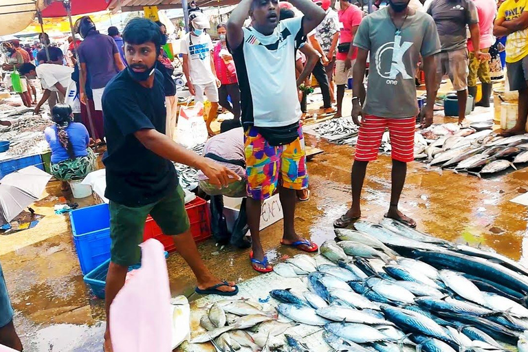 Negombo Stadtführung : Fischmarkt und Bootsfahrt auf dem holländischen Kanal