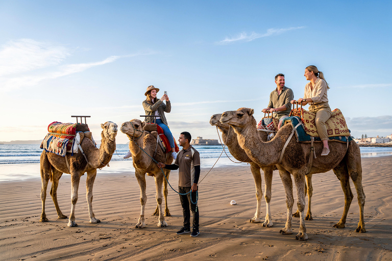 Hunter Valley Winery, Port Stephens Sand Dunes Adventures Winery Experience, Meet at Furama Darling Harbour