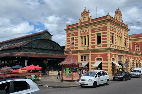 Manaus: Historical City Tour Historical City Tour