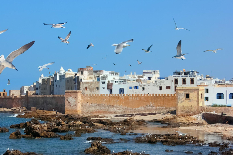 Resa från Agadir till Essaouira Besök den antika och historiska staden