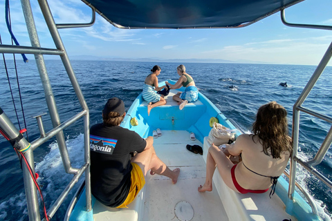 Puerto Escondido: Bootstour zu Delfinen und MeerestierenPrivate Tour