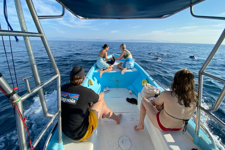 Puerto Escondido: Bootstour zu Delfinen und MeerestierenPrivate Tour