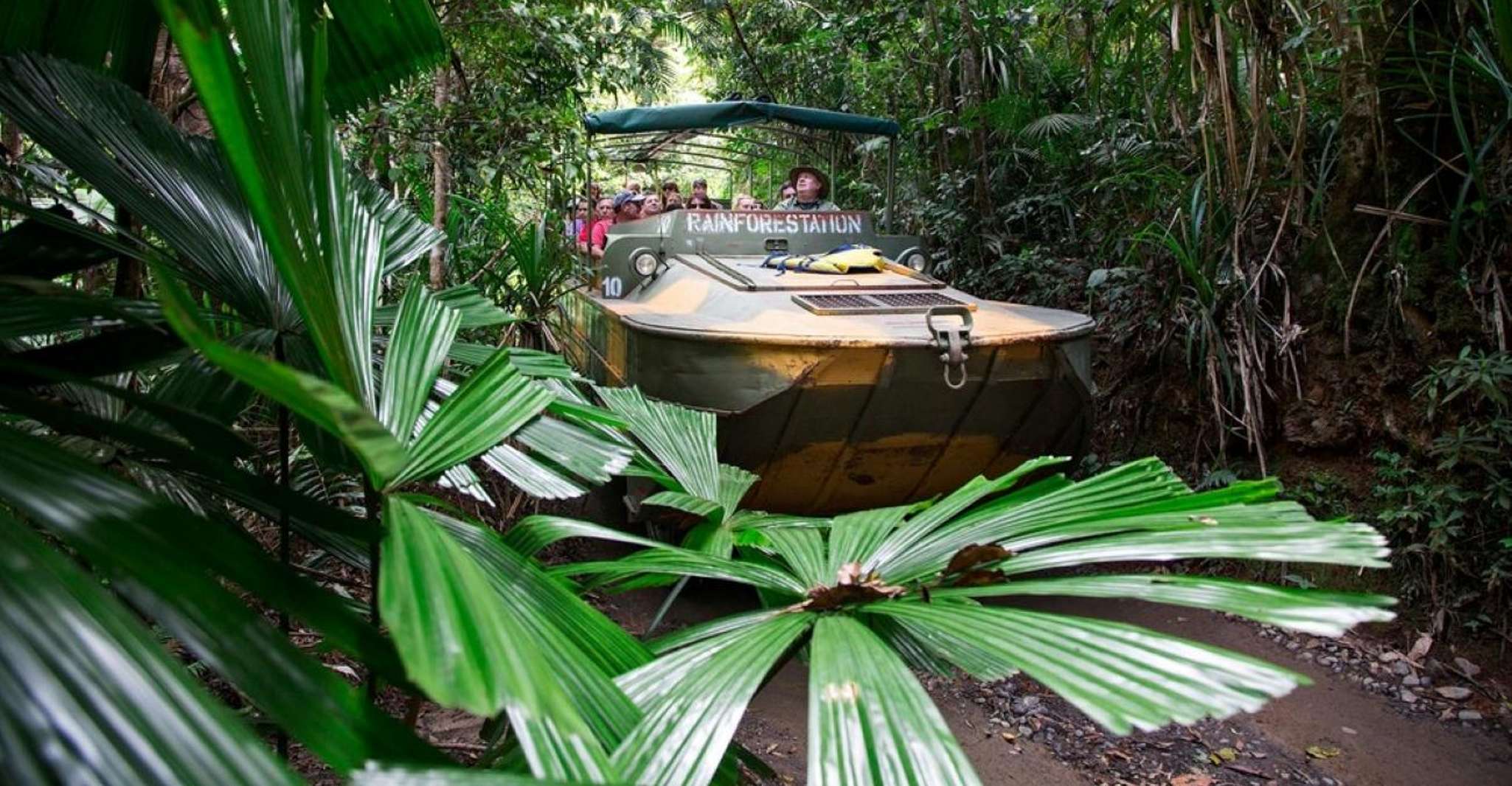 Kuranda; Selva tropical, mariposas, crucero en barco y aborígenes - Hizvo