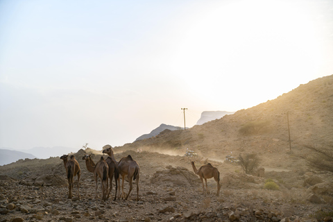 Muscat to Salalah: Exclusive 8-Day SXS Rally Raid Adventure