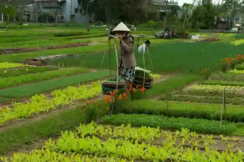 HOIAN: FABRICACIÓN DE FAROLILLOS EN TRA QUE PEQUEÑO GRUPO
