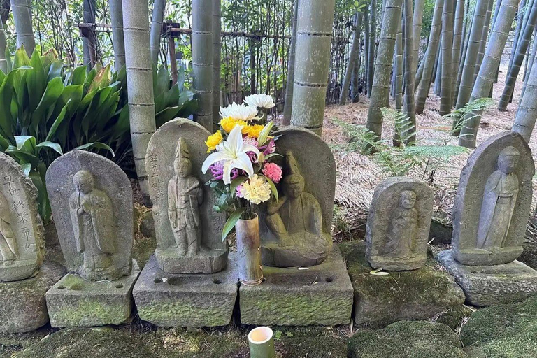 Tokyo: Kamakura & Enoshima Private Guided Day Trip