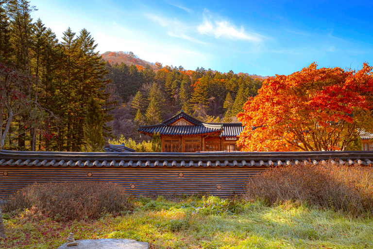 سيول: جولة يومية لمشاهدة أوراق الخريف في حديقة أودايسان أو دايدونسانجولة مشتركة لمشاهدة أوراق شجر 