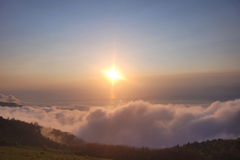 Georgia (Batumi): Private Customizable Tour with Guide