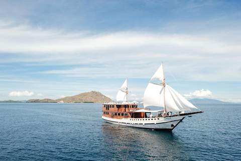 Komodo : 3 jours d&#039;aventure à bord d&#039;une embarcation de plaisanceCabine privée - Bateau de luxe