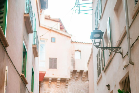 جلسة تصوير احترافية خاصة أثناء الإجازة في مايوركا1 ساعة تصوير فوتوغرافي في مايوركا