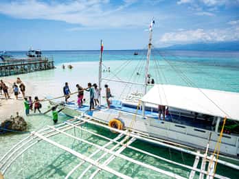 Oslob Whale Shark & Tumalog Waterfalls & Sumilon Sandbar