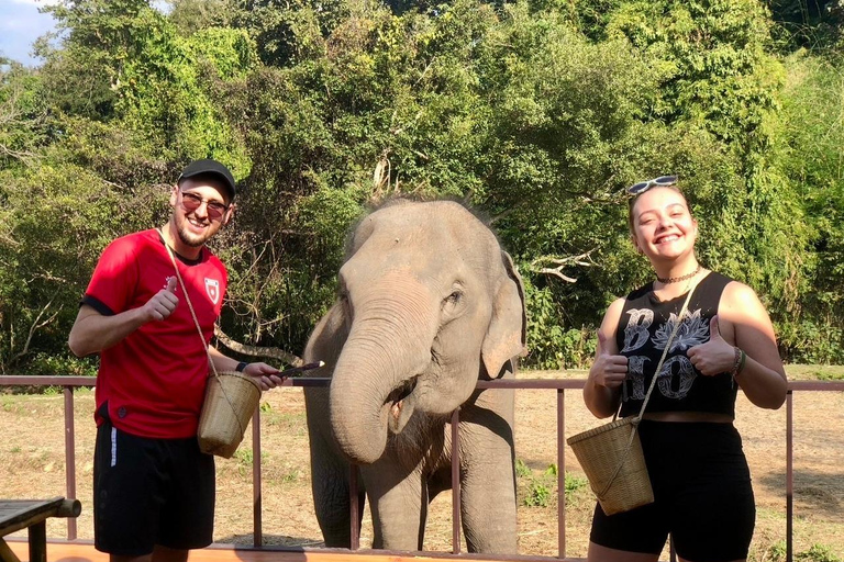 Chiang Mai : Visite de deux jours du sanctuaire du Temple des éléphants
