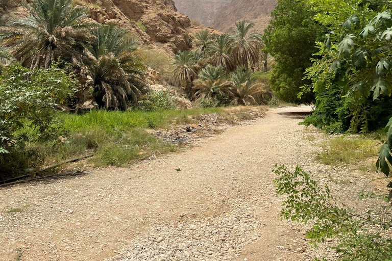 Ganztagestour nach Wadi Shab-Fins Beach-Sinkhole- Private Tour