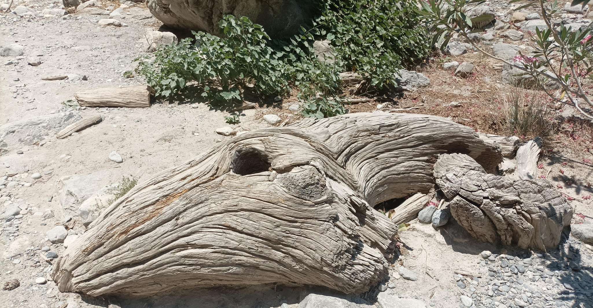 Samaria Gorge Private Transfer from Chania - Housity