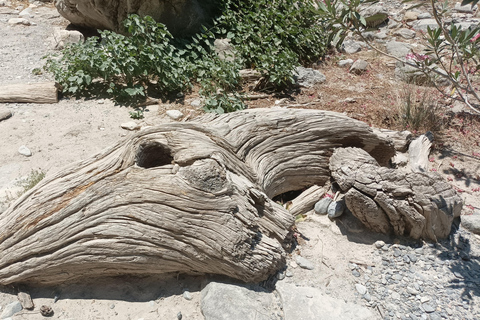 Chania: Samaria Gorge Private Transfer