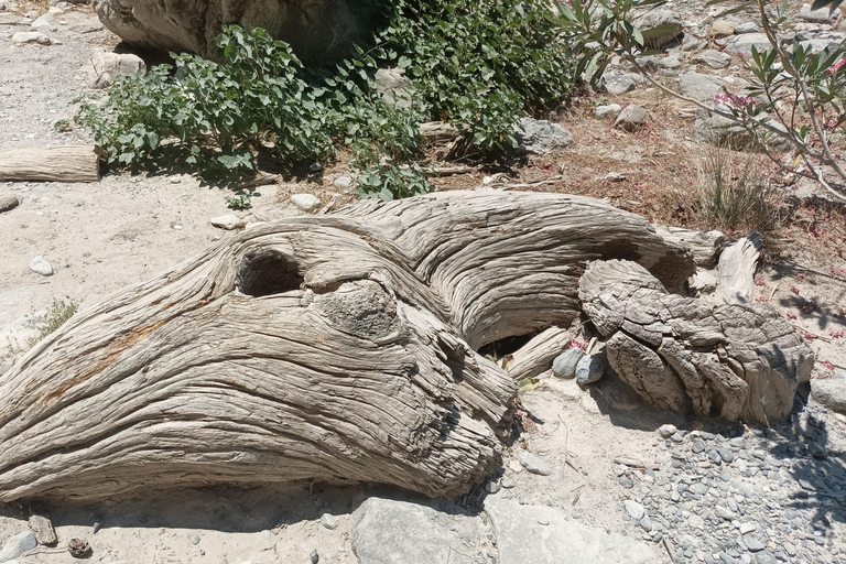 Chania: Samaria Gorge Private Transfer